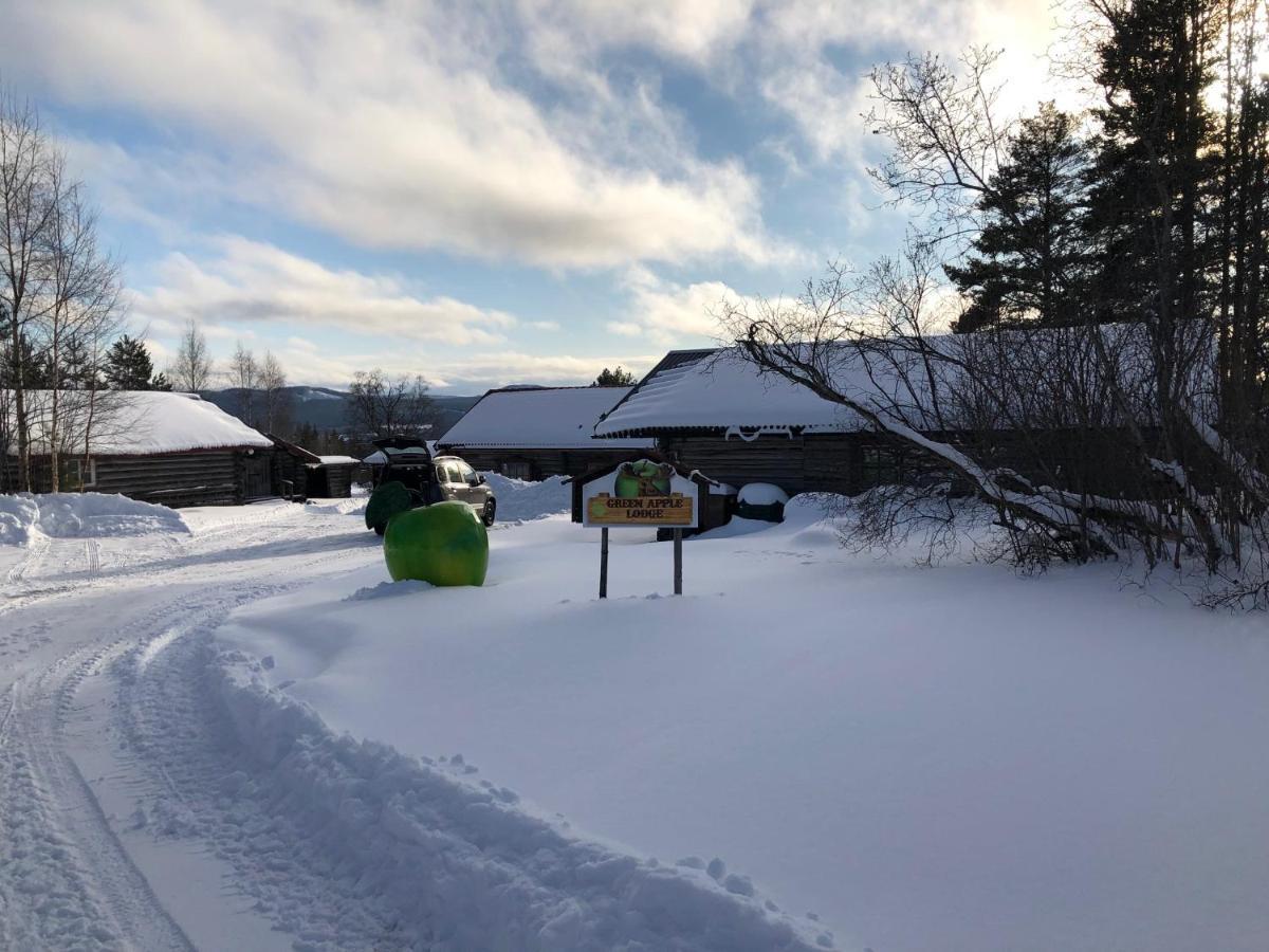 Beautiful 4-5 Persons Cottage In Alvdalen Blyberg Exterior foto