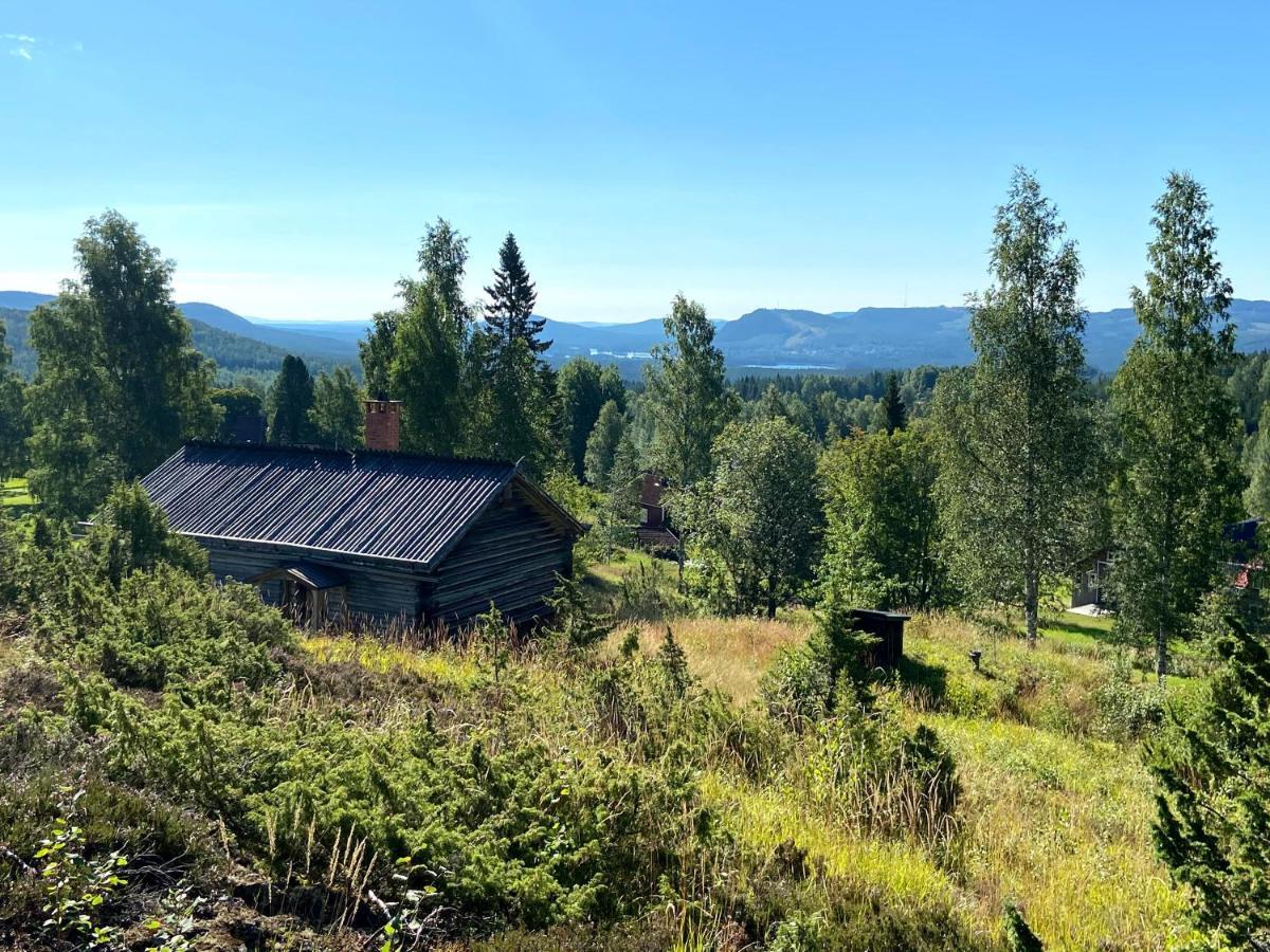Beautiful 4-5 Persons Cottage In Alvdalen Blyberg Exterior foto